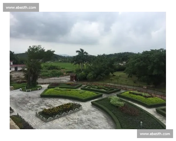 台风追至深圳：思念跨越千里的告白